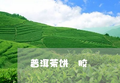 普洱茶饼 胶/2023042809138